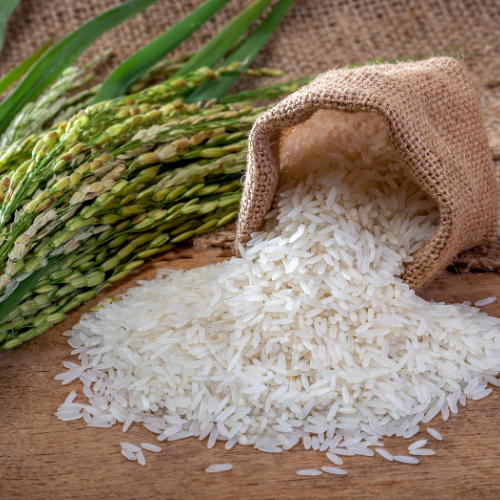 Premium Rice Supply & Export